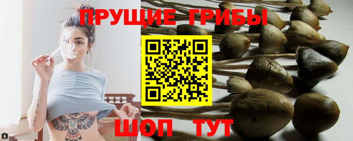 Псилоцибиновые грибы ЛСД  Галлюциногенные грибы Psilocybine cubensis  Вход с VPN  Гусиноозёрск 